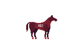 Pferd10.png