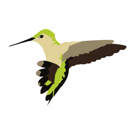 Hummingbird logo.jpg